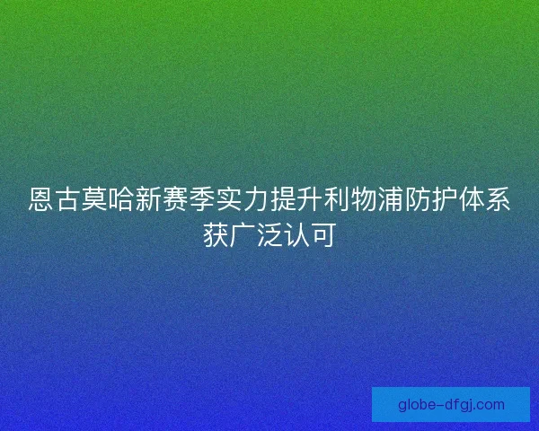 恩古莫哈新赛季实力提升利物浦防护体系获广泛认可 恩古莫哈新赛季实力提升利物浦防护体系获广泛认可